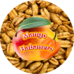 mango_habanero_495497597